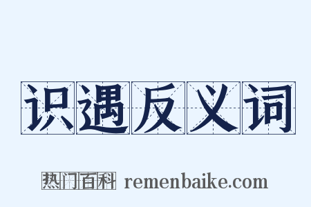 识遇反义词是什么意思的图片